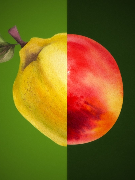 Captura de ecrã 2024-10-15 105516