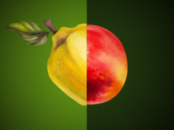 Captura de ecrã 2024-10-15 105516